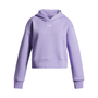 Under Armour Ua Rival Fleece Hoodie - transparent