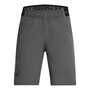 Under Armour Ua Vanish Shorts - castlerock