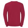 Uhlsport Sweatshirt - bordeaux