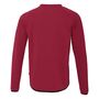 Uhlsport Id Sweatshirt - bordeaux