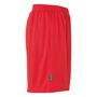 Uhlsport Center Basic Shorts Ftp - rot