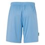 Uhlsport Center Basic Shorts Ftp - skyblau