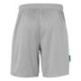 Uhlsport Center Basic Shorts Ftp - dark grau melange