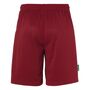 Uhlsport Center Basic Shorts Ftp - bordeaux
