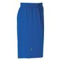 Uhlsport Center Basic Shorts Ftp - azurblau/limonengelb