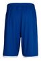 Hummel CORE BASKET SHORTS - true blue