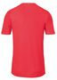 Uhlsport STRIPE 2.0 TRIKOT KURZARM - rot/wei�