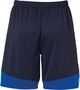 Kempa EMOTION 2.0 SHORTS - marine/royal