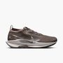 Nike Nike Pegasus Trail 5 Gtx - ironstone/college grey-velvet brown