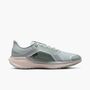 Nike Air Zm Pegasus 41 Gtx - light pumice/metallic silver