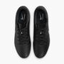 Nike Legend 10 Academy Fg/Mg - black/black