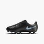 Nike Jr Legend 10 Club Fg/Mg - black/black