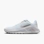 Nike W Nike Flex Train - white/metallic silver-photon dust