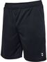Hummel Hmlpulse Training Shorts - black