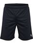 Hummel Hmlpulse Training Shorts - black