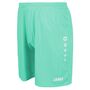 Jako Dynamo Dresden Tw Short Home - minze