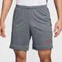 Nike M Nk Df Acd25 Short K Br - cool grey/black/bright crimson