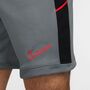 Nike M Nk Df Acd25 Short K Br - cool grey/black/bright crimson