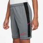Nike K Nk Df Acd25 Short K 7In -Pd - cool grey/black/bright crimson