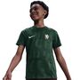 Nike Cfc Ynk Df Acdpr Ss Top K Pm - galactic jade/outdoor green/phantom