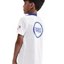 Nike Psg Y Nk Df Strk Ss Top K 3R - white/white/hyper royal/global red