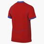 Nike Psg M Nk Df Jsy Ss Stad 3R - global red/sport red/hyper royal