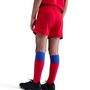 Nike Psg Lk Nk Df Kit Stad 3R - global red/sport red/hyper royal