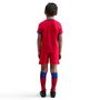 Nike Psg Lk Nk Df Kit Stad 3R - global red/sport red/hyper royal