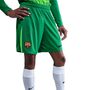 Nike Fcb M Nk Df Short Stad Gk - lucky green/green strike/black