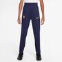 Nike Fcb Y Nk Df Strk Pant Kpz - imperial purple/midwest gold