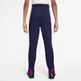 Nike Fcb Y Nk Df Strk Pant Kpz - imperial purple/midwest gold