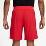 Nike Psg M Nk Dfadv Short Match 3R - global red/hyper royal