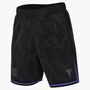 Nike Fcb M Nk Df Short Stad Aw - black/persian violet/iron grey