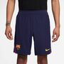 Nike Fcb M Nk Dfadv Strk El Shrt Kz - imperial purple/midwest gold