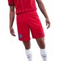 Nike Psg M Nk Df Short Stad 3R - global red/hyper royal