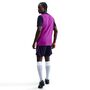 Nike Fcb M Nk Df Strk Short Kz - imperial purple/midwest gold