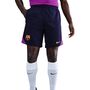 Nike Fcb M Nk Df Strk Short Kz - imperial purple/midwest gold