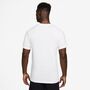 Nike M Nk Df Tee Winning - white/black