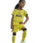 Nike Thfc Lk Nk Df Kit Stad 3R - dynamic yellow/blue void/blue void