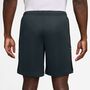 Nike M Nk Df Acd25 Short K Br - seaweed/black/limelight
