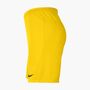 Nike M Nk Df Park Iii Short Nb K - lightening/black 