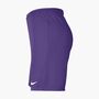 Nike M Nk Df Park Iii Short Nb K - wild grape/white 