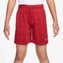 Nike B Nk Df Multi Short Lbr Hthr - lt crimson/team red/htr/white