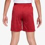 Nike B Nk Df Multi Short Lbr Hthr - lt crimson/team red/htr/white