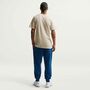 Nike U Nsw Tee Std Celebrate Brnd - lt khaki