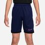 Nike K Nk Df Acd25 Short Kp 7In -Pd - blue void/white/black/pinksicle
