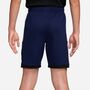 Nike K Nk Df Acd25 Short Kp 7In -Pd - blue void/white/black/pinksicle