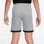 Nike K Nk Df Acd25 Short Kp 7In -Pd - lt smoke grey/white/black/metallic