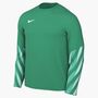 Nike M Nk Df Park V Gk Jsy Ls - stadium green/white