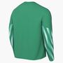 Nike M Nk Df Park V Gk Jsy Ls - stadium green/white